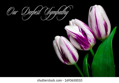 our deepest condolences text on black background with flower
