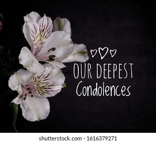 Condolences Images, Stock Photos & Vectors | Shutterstock