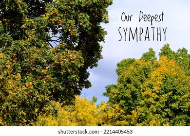 Our Deepest Sympathy Card. Fall Trees With Sky And Text