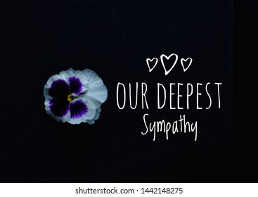 Our Deepest Sympathy Card Message Words Stock Photo 1442148275 ...