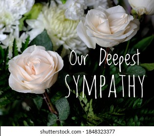 188 Our deepest sympathy Images, Stock Photos & Vectors | Shutterstock