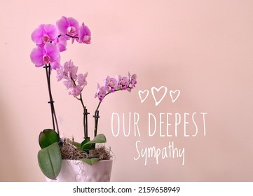 Our Deepest Sympathy Card. Pink Orchid With Pastel Background And Text