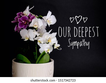 Our Deepest Sympathy Card. Purple And White Orchids In White Pot With Black Background And Text