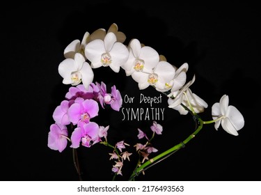 Our Deepest Sympathy Card. Purple And White Orchids On Black Background With Text