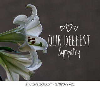 188 Our deepest sympathy Images, Stock Photos & Vectors | Shutterstock