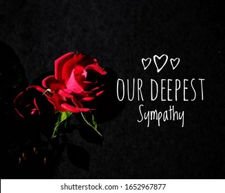 571 Deep sympathy condolence Images, Stock Photos & Vectors | Shutterstock