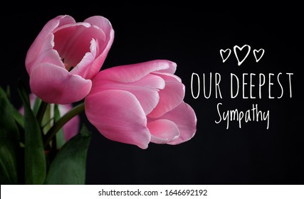 Our Deepest Sympathy card. Two deep pink tulips on black background with typography