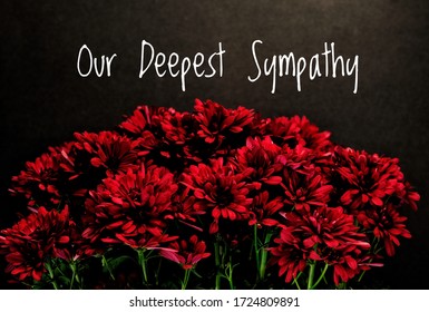 Our Deepest Sympathy card.Deep red isolated summer flowers on black background with text