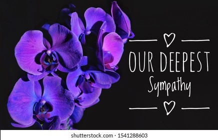 Our Deepest Sympathy. Condolence card with purple orchid on black background