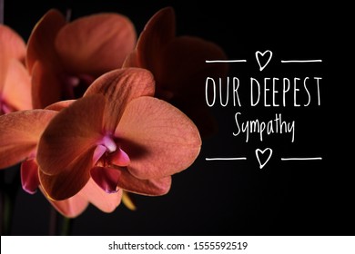 Our Deepest Sympathy Or Condolences Card. Orange Or Coral Coloured Orchid Closeup On Black Background