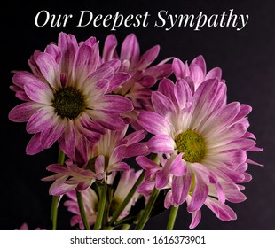 Our Deepest Sympathy Text Sympathy Condolence Stock Photo 1616373901 ...