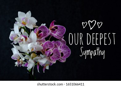 Our Deepest Sympathy Words On Black Background. Close Up Of Purple And White Orchids. Sympathy Or Condolence Card