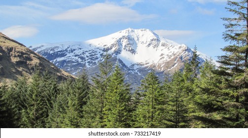 Our First Glimpse Of Ben Lui During A Spring Family Break To Tyndrum, Scotland.  After An Uphill Track With A Grumpy Four Year Old The Beauty Of The Snow Capped Mountain Was A Welcome Sight.