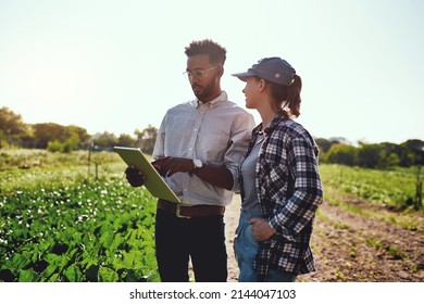 Our growth is phenomenal. Cropped shot of two young farmers looking at a tablet while working on their farm. - Shutterstock ID 2144047103