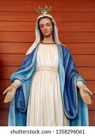 Virgen De Lourdes Hd Stock Images Shutterstock