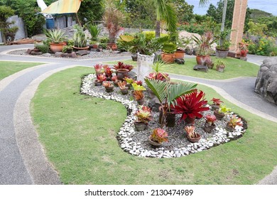 Our Lady's Garden, Negros Oriental  Philippines - February 28, 2022: One of the best place to relax and enjoy the view in the City.