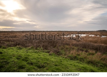 Ouse Fen Nature reserve wetland and marsh, Earith, Cambridgeshire, England.