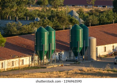 Out Buildings And Shed On A Small Chicken Farm Modern Poultry House Showing Feed Bins In Spain