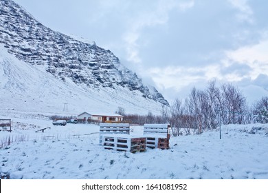 Out Door Morning View On Winter Day, Iceland