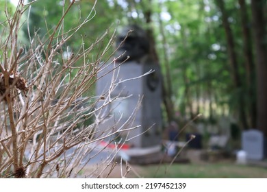 Out Of Focus Karl Marx Tomb Behind Dry Branches Entangled In Cobweb - Highgate Cemetery, North London