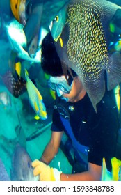 Out Of Focus Scuba Diver, Underwater View, Breathing Observation Bubble, Coral World Marine Park, St Thomas, USVI, July 17, 1992
