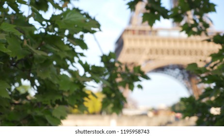 Out of focus view of Eiffel Tower through leaves of tree to be composited