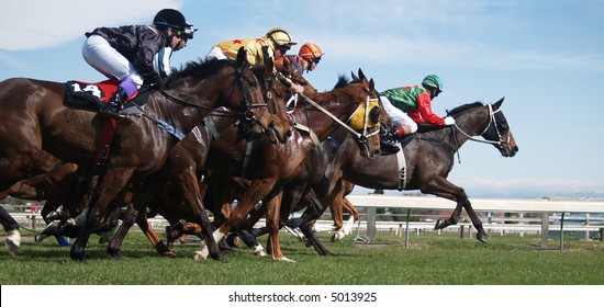 Horse Race Starting Gate High Res Stock Images Shutterstock