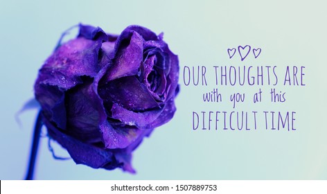 Sympathy Messages High Res Stock Images Shutterstock
