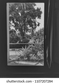 out of the window