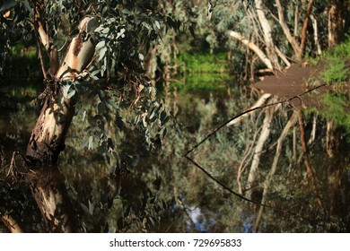 Outback Australia