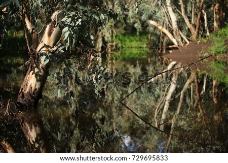 Outback Australia