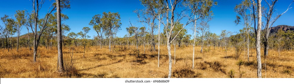 antenne Installere udvikle Australian Bush Images, Stock Photos & Vectors | Shutterstock