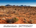 Outback Australian desert and rock formation in Uluru-Kata Tjuta National Park, Northern Territory, Australia.