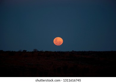 Outback Blood, Supermoon