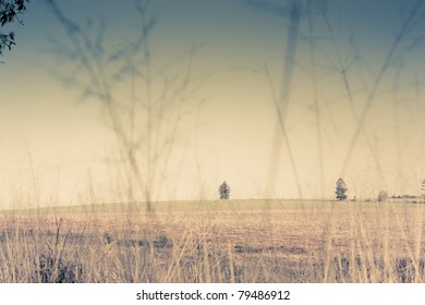 outback fields