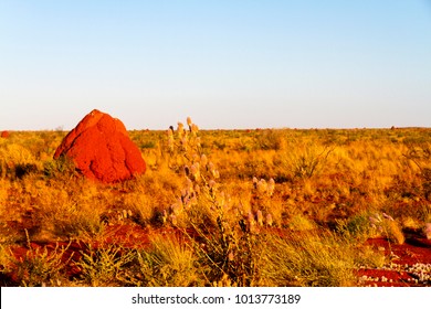 Outback landscape and giant termite nests, Pilbara, Western Australia
