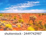 Outback Landscape, Northern Territory, Australia 