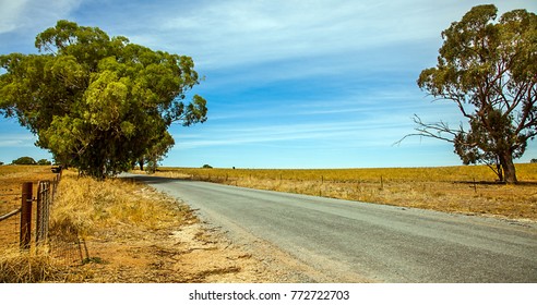 Outback At Narrandera New South Wales Australia