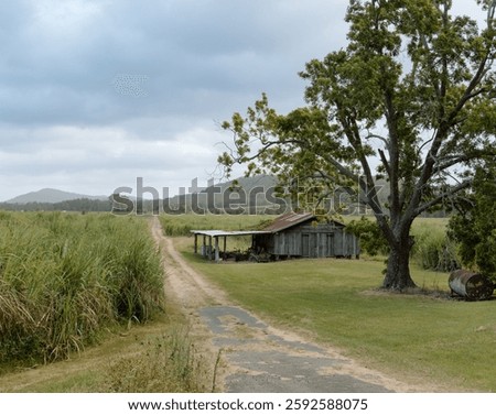 Outback shed on cane fields australia