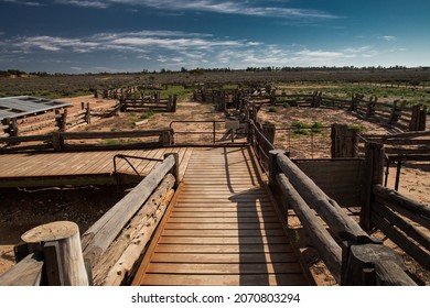 Outback Sheep Station Near Broken Hill, NSW, Australia