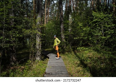 Outdoor Activities, Backpacking In The Woods, Vacation In My Country, National Park, Hiking Road For Tourists, Hiking. High Quality Photo