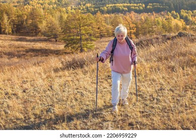 Outdoor Activities, People And Vacations Concept. Attractive Short Haired Middle Aged Woman In Activewear Hiking In Forest Using Poles For Nordic Walking, Doing Aerobic Workout, Enjoying Nature
