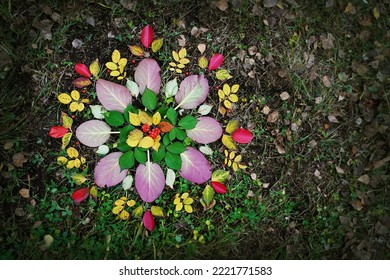 Outdoor activity autumn round mandala of green, red and yellow leaves, rowan berries, laid out on the grass and land, top view. Land art design
