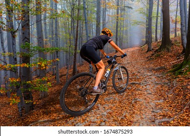 Outdoor adventure, woman on mountainbike in mountains forest landscape. Woman cycling MTB flow trail track. Sport activity.