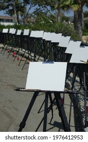 Outdoor Art Class Preparation In The Park