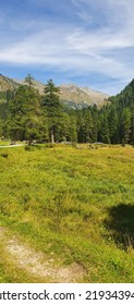 Outdoor Beautiful Mountain View Bike Road Val Genova Pinzolo Madonna Di Campiglio Italy