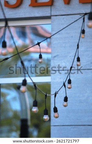 outdoor cafe, palm trees, string lights, cozy atmosphere, tropical vibe, summer evening, al fresco dining, warm light, decorated terrace, beachside cafe, exotic setting, urban jungle, evening lights, 
