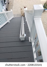 Outdoor Chair Lift On Front Steps