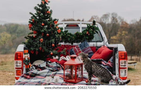 Outdoor\
Christmas decoration with pickup truck and\
cat