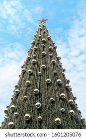 Outdoor Christmas Tree At Daytime With Beautiful Blue Sky